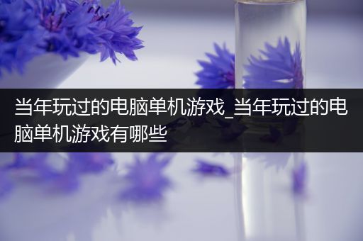 当年玩过的电脑单机游戏_当年玩过的电脑单机游戏有哪些