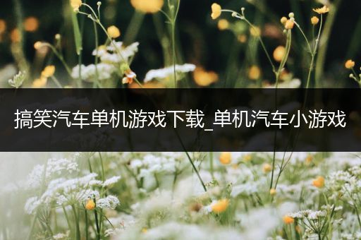 搞笑汽车单机游戏下载_单机汽车小游戏