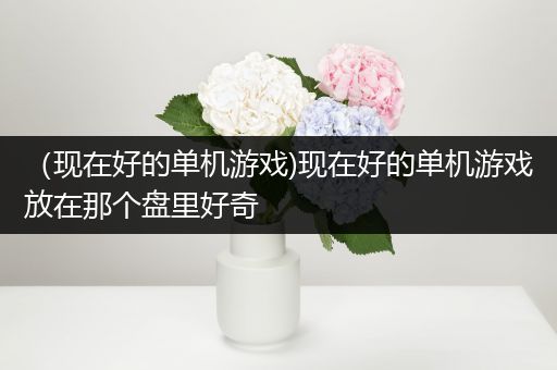 （现在好的单机游戏)现在好的单机游戏放在那个盘里好奇