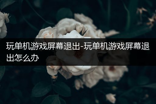 玩单机游戏屏幕退出-玩单机游戏屏幕退出怎么办