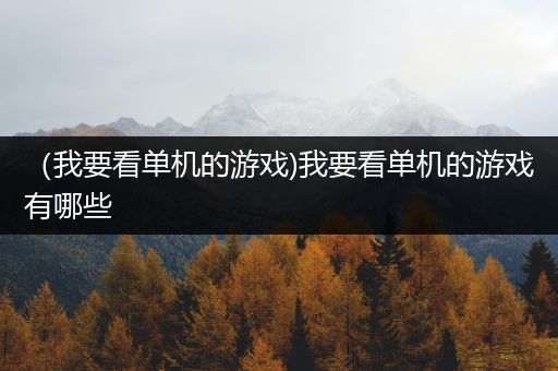 （我要看单机的游戏)我要看单机的游戏有哪些