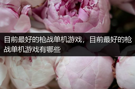目前最好的枪战单机游戏，目前最好的枪战单机游戏有哪些