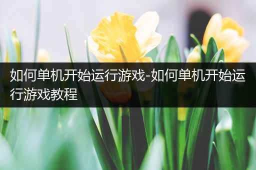 如何单机开始运行游戏-如何单机开始运行游戏教程