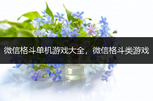 微信格斗单机游戏大全，微信格斗类游戏