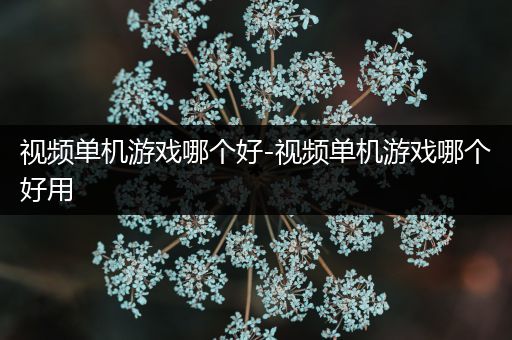 视频单机游戏哪个好-视频单机游戏哪个好用