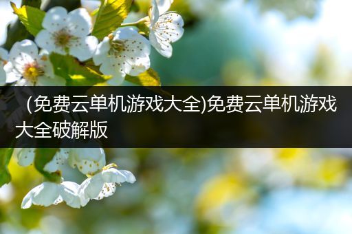 （免费云单机游戏大全)免费云单机游戏大全破解版