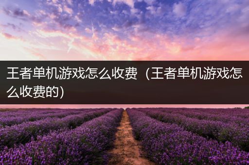 王者单机游戏怎么收费（王者单机游戏怎么收费的）