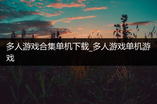 多人游戏合集单机下载_多人游戏单机游戏