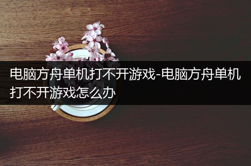 电脑方舟单机打不开游戏-电脑方舟单机打不开游戏怎么办