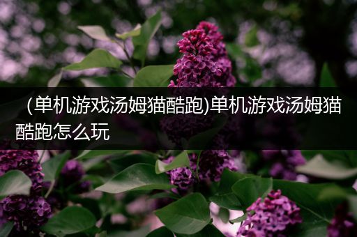 （单机游戏汤姆猫酷跑)单机游戏汤姆猫酷跑怎么玩
