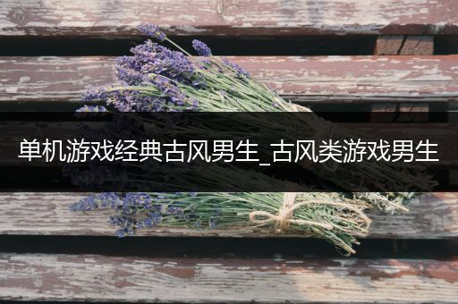 单机游戏经典古风男生_古风类游戏男生