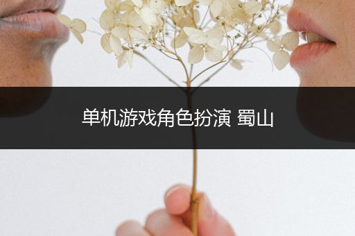 单机游戏角色扮演 蜀山