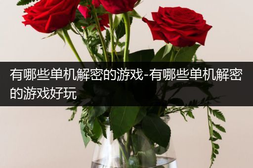 有哪些单机解密的游戏-有哪些单机解密的游戏好玩