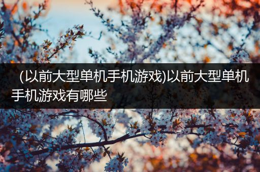 （以前大型单机手机游戏)以前大型单机手机游戏有哪些