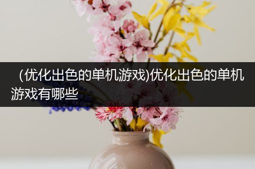 （优化出色的单机游戏)优化出色的单机游戏有哪些