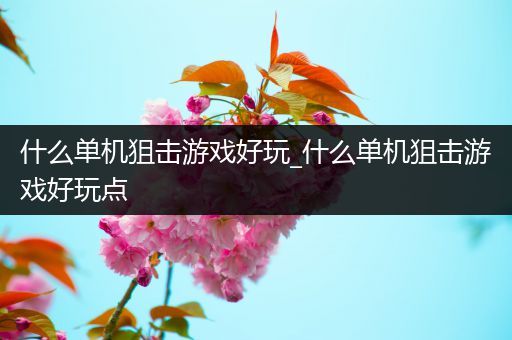 什么单机狙击游戏好玩_什么单机狙击游戏好玩点