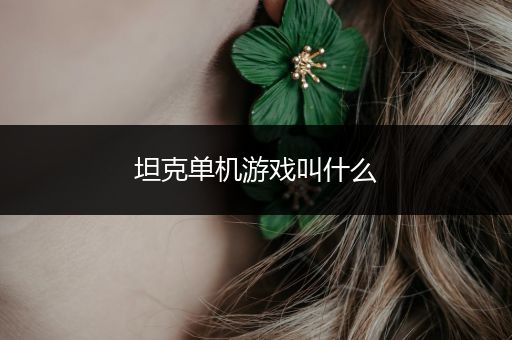 坦克单机游戏叫什么