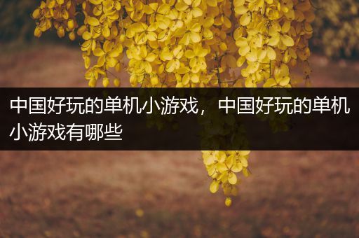 中国好玩的单机小游戏，中国好玩的单机小游戏有哪些