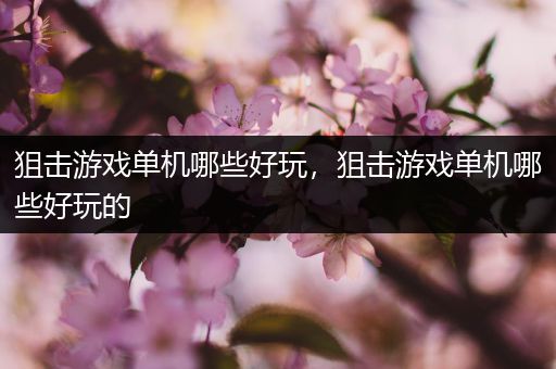狙击游戏单机哪些好玩，狙击游戏单机哪些好玩的