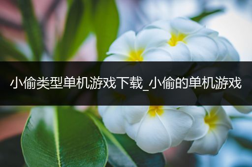 小偷类型单机游戏下载_小偷的单机游戏
