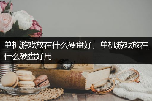 单机游戏放在什么硬盘好，单机游戏放在什么硬盘好用