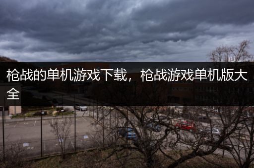 枪战的单机游戏下载，枪战游戏单机版大全