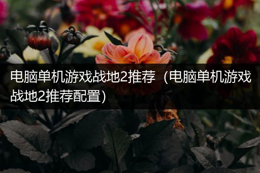 电脑单机游戏战地2推荐（电脑单机游戏战地2推荐配置）
