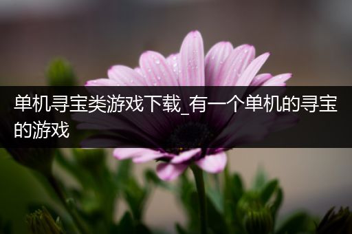 单机寻宝类游戏下载_有一个单机的寻宝的游戏
