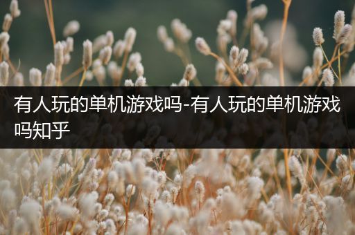 有人玩的单机游戏吗-有人玩的单机游戏吗知乎