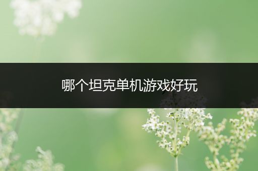 哪个坦克单机游戏好玩