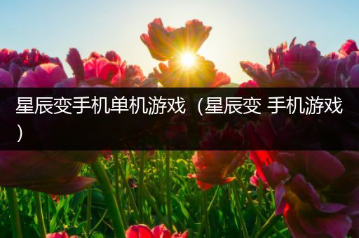 星辰变手机单机游戏（星辰变 手机游戏）