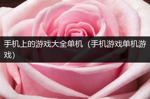 手机上的游戏大全单机（手机游戏单机游戏）