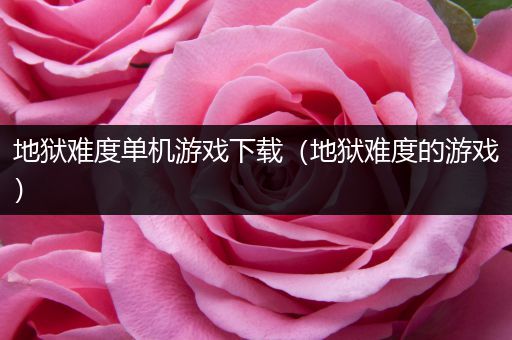 地狱难度单机游戏下载（地狱难度的游戏）