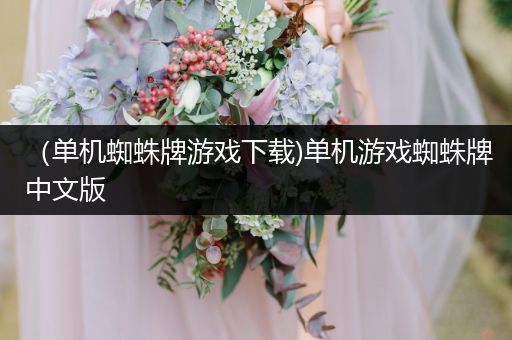 （单机蜘蛛牌游戏下载)单机游戏蜘蛛牌中文版