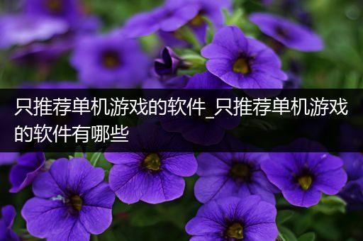 只推荐单机游戏的软件_只推荐单机游戏的软件有哪些