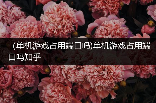 （单机游戏占用端口吗)单机游戏占用端口吗知乎
