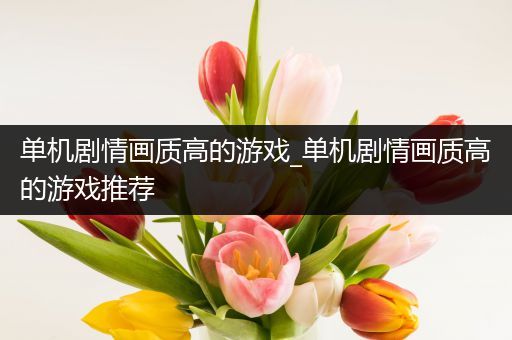 单机剧情画质高的游戏_单机剧情画质高的游戏推荐