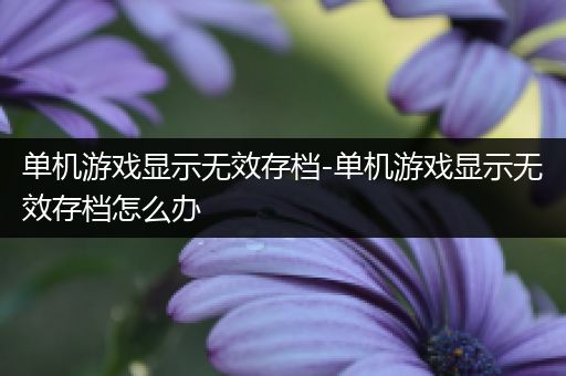 单机游戏显示无效存档-单机游戏显示无效存档怎么办