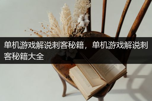 单机游戏解说刺客秘籍，单机游戏解说刺客秘籍大全