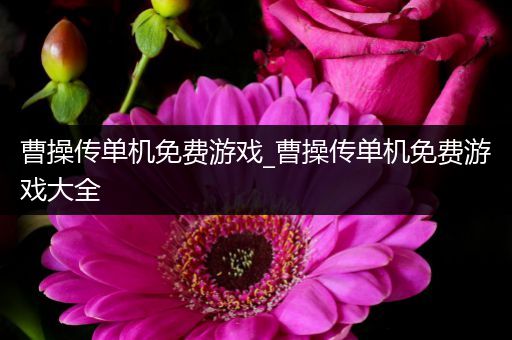 曹操传单机免费游戏_曹操传单机免费游戏大全