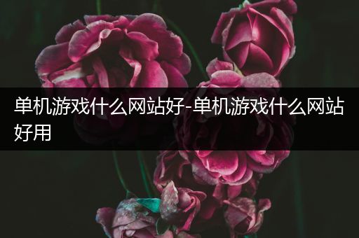 单机游戏什么网站好-单机游戏什么网站好用