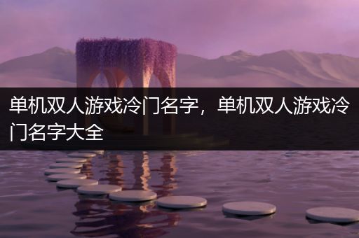 单机双人游戏冷门名字，单机双人游戏冷门名字大全