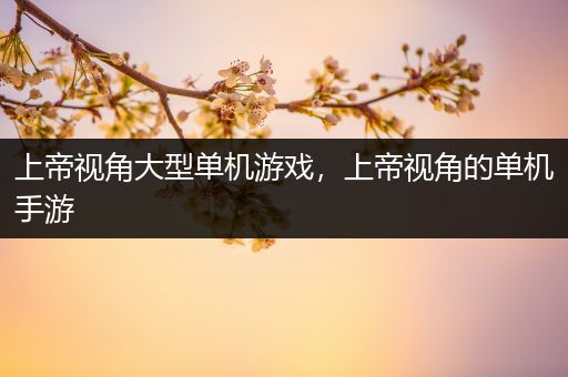 上帝视角大型单机游戏，上帝视角的单机手游