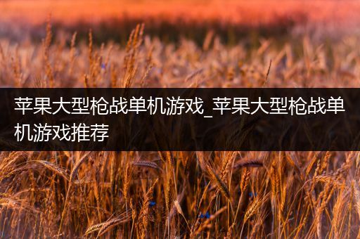 苹果大型枪战单机游戏_苹果大型枪战单机游戏推荐