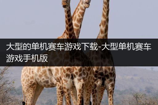 大型的单机赛车游戏下载-大型单机赛车游戏手机版