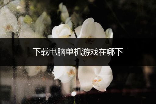 下载电脑单机游戏在哪下