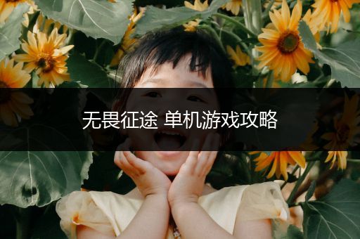 无畏征途 单机游戏攻略