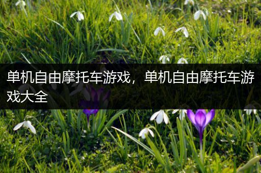单机自由摩托车游戏，单机自由摩托车游戏大全