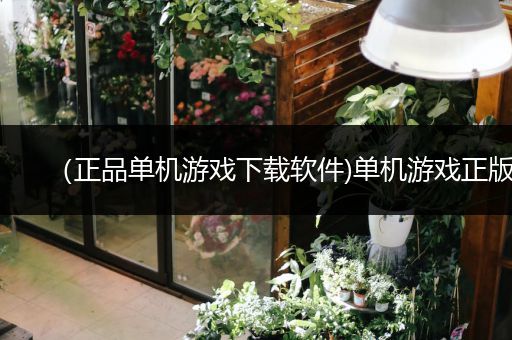 （正品单机游戏下载软件)单机游戏正版