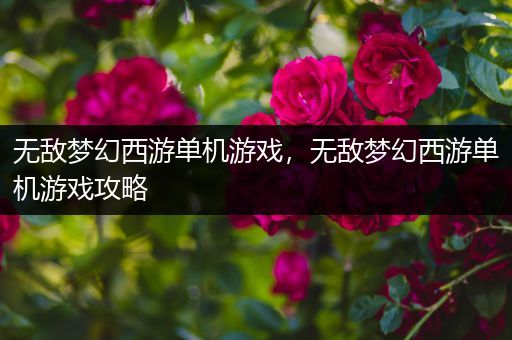 无敌梦幻西游单机游戏，无敌梦幻西游单机游戏攻略